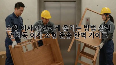 소형 이사, 안전하게 옮기는 방법! 삼척 건지동 이사 소형 운송 완벽 가이드