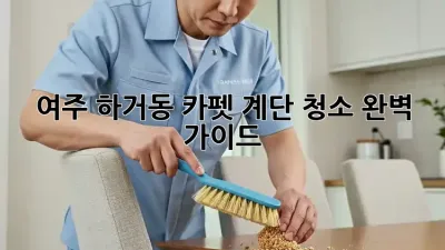 여주 하거동 카펫 계단 청소 완벽 가이드